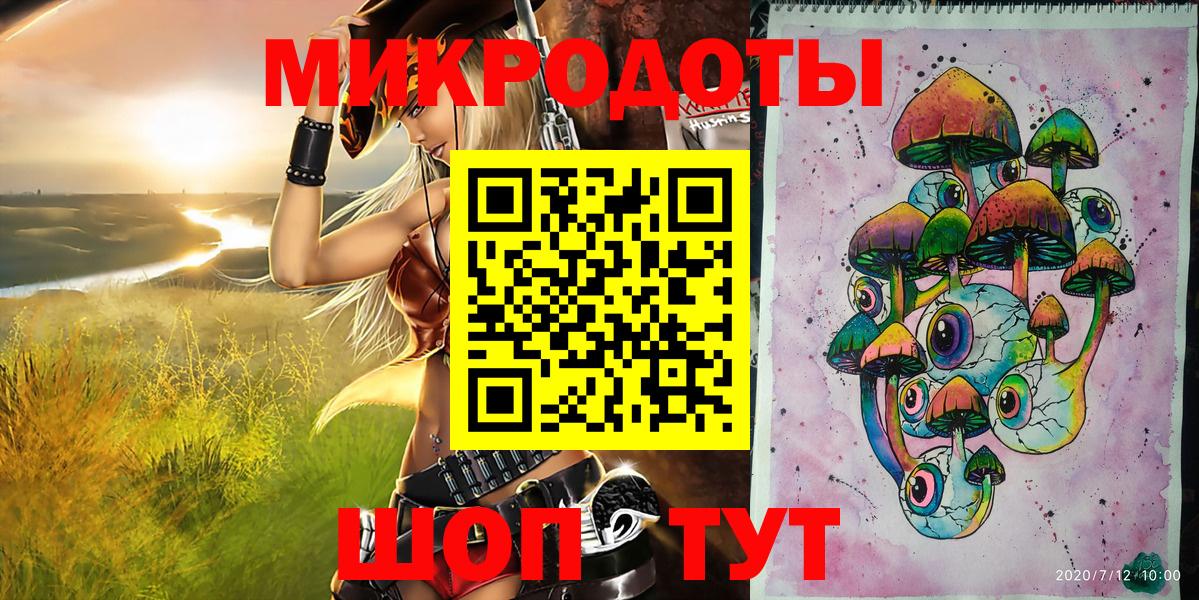Галлюциногенные грибы Psilocybe  Вход с VPN  Химки 