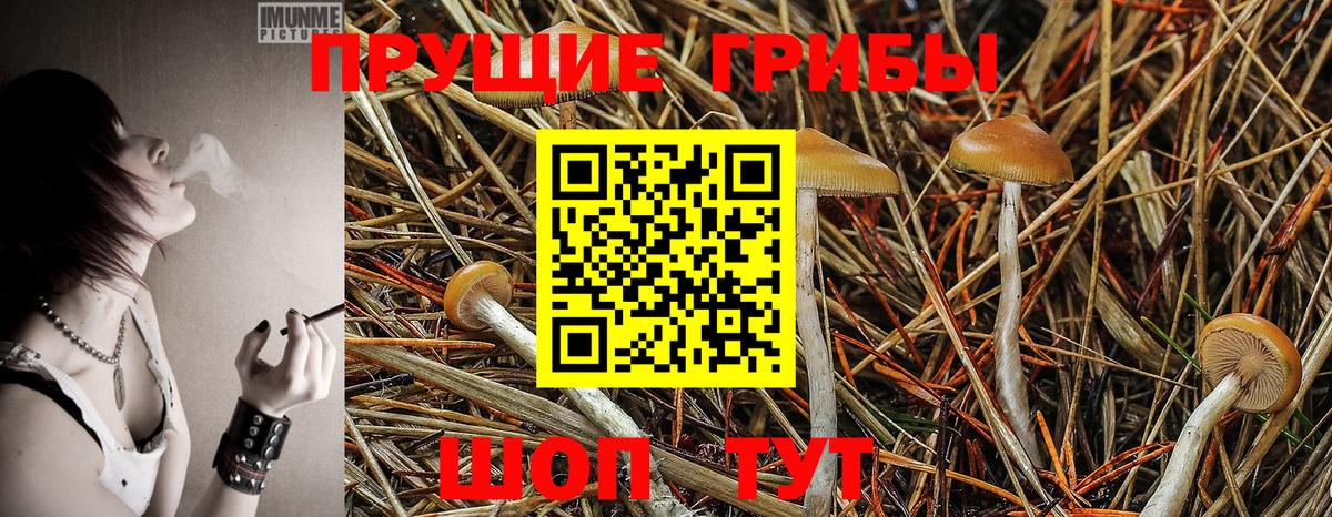 Псилоцибиновые грибы ЛСД Химки